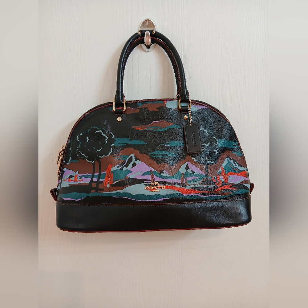 Coach Sierra Leather Handbag.